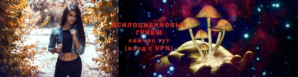 бутират Баксан