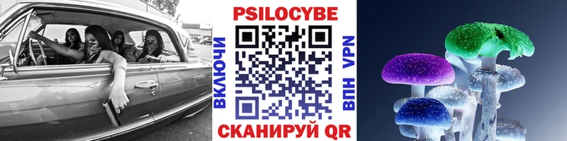 Псилоцибиновые грибы прущие грибы  купить наркотики сайты  Шелехов 